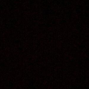 Meet your Posher, Denzel